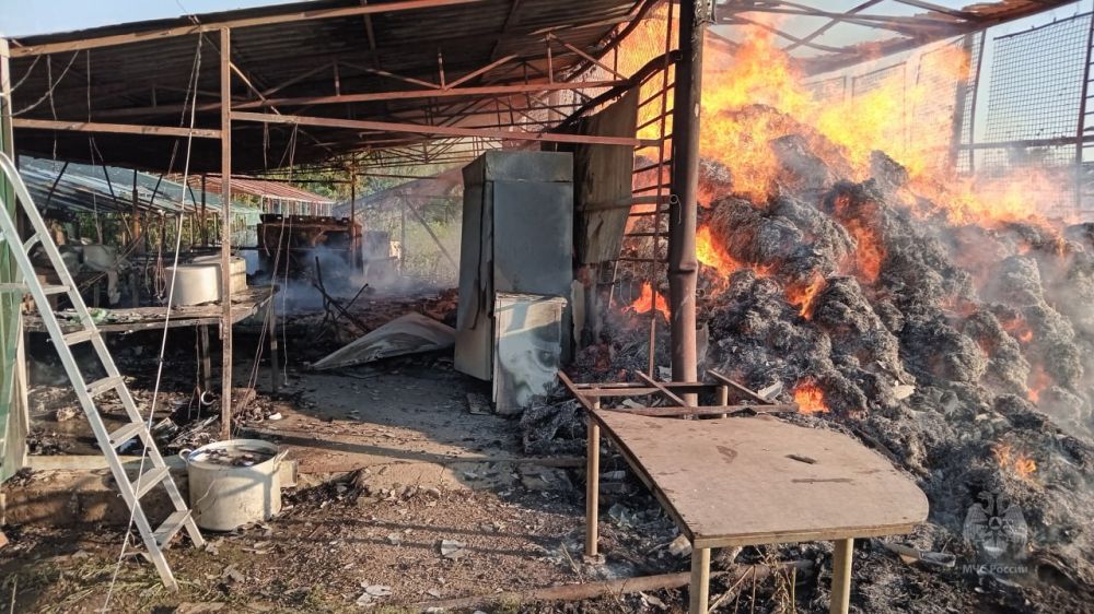 ������������� ��������� ������������� ���������� � ������� �������