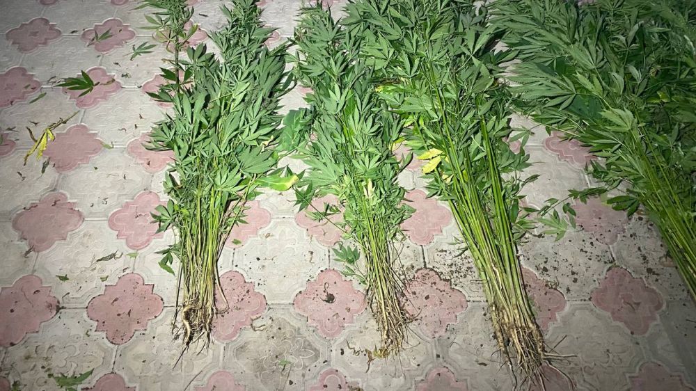 ��������������� ������ ����� 500 ������ ������� � ������ ����������