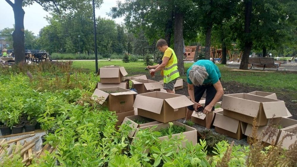 Это какой-то космос: В обновленном главном сквере Луганска появятся площадки, которых в городе никогда не было