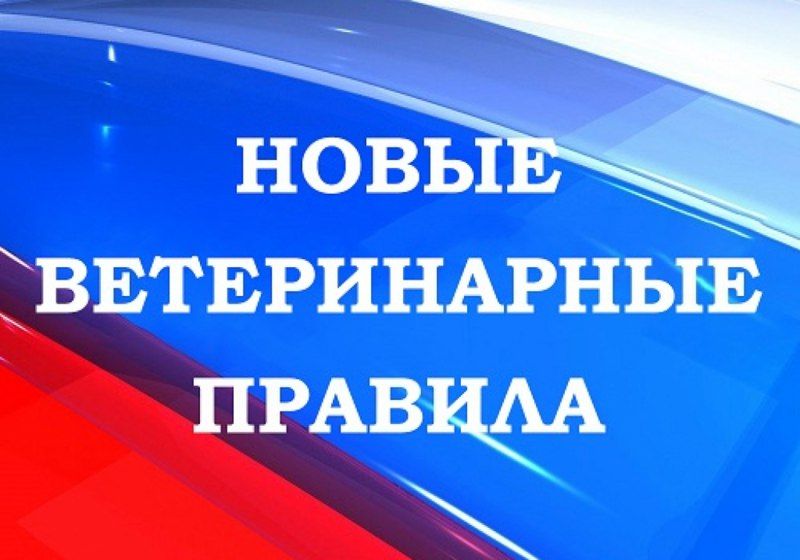 ����� ������� ���������� ������������ ���������������� ���������� ������� � ���� ��� 1 �������� 2023 ����