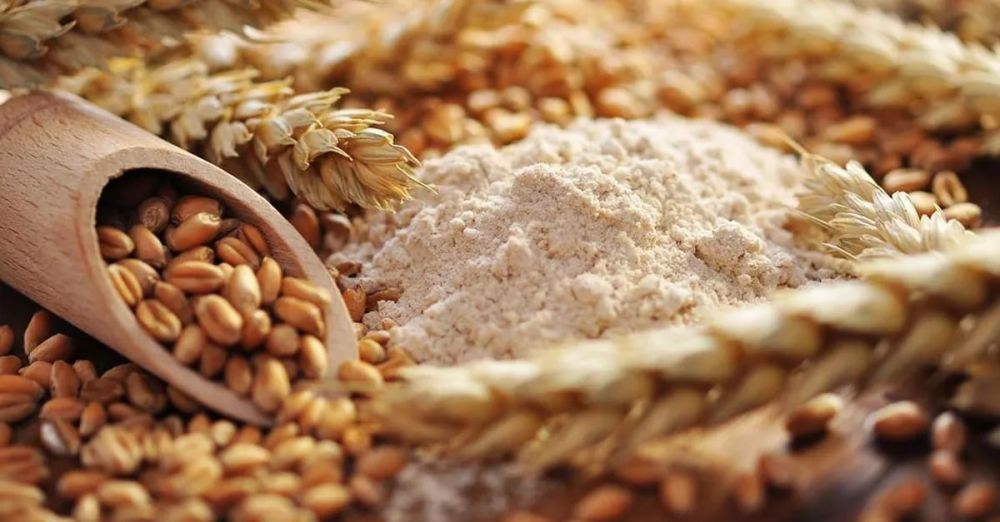 �� ���� �� ��� �� ���������� ������ ��������� ���������� ��������� ���� �������� ����� 82 ����� ���� �����, �����, ���� � ����, ���������� � ������������ �� ���������� ����������, �������� � ��������������� ���������� �����������������