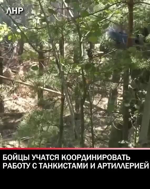 ���������� ����������� �� ��������������� �����������