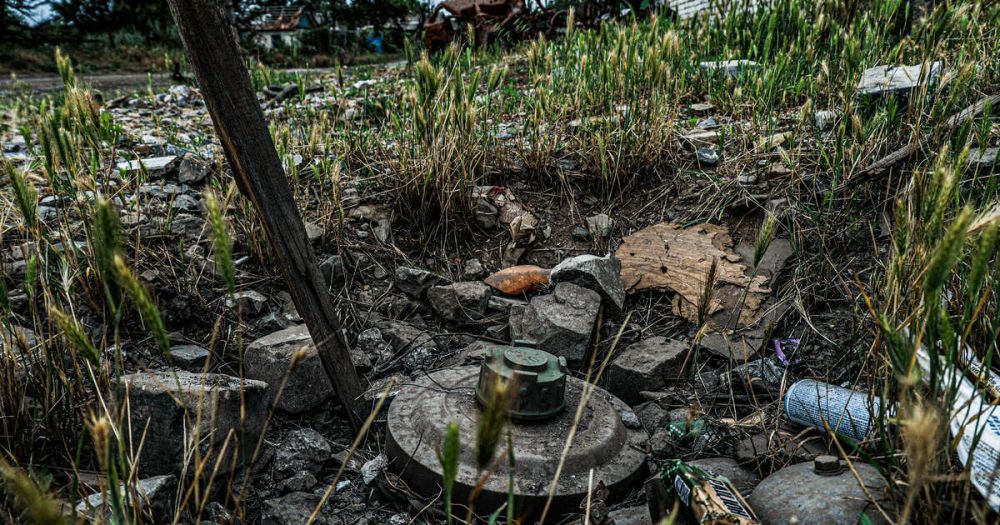 ���� �������� � ����������� ����� ������ ����� ������