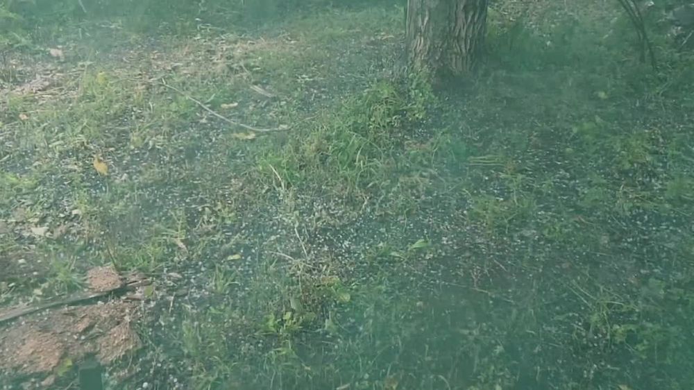 ������ �������: ������� ������.. @marochkolive