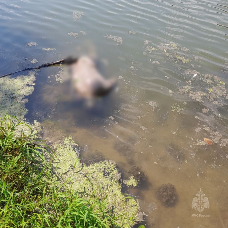 �������������� ��������� �������� �� ������� ���� �������