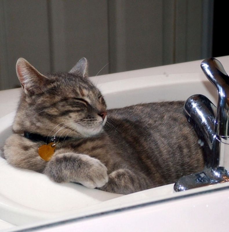 ������ ���� �� ��������� ������� ���������������� ������ �������� ��������������