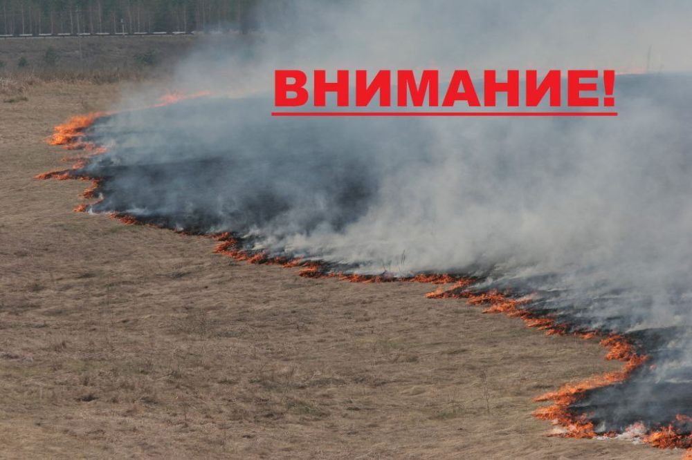 ������������ �� ����������� �������� ������������ �� ������ ��������������������� ����������