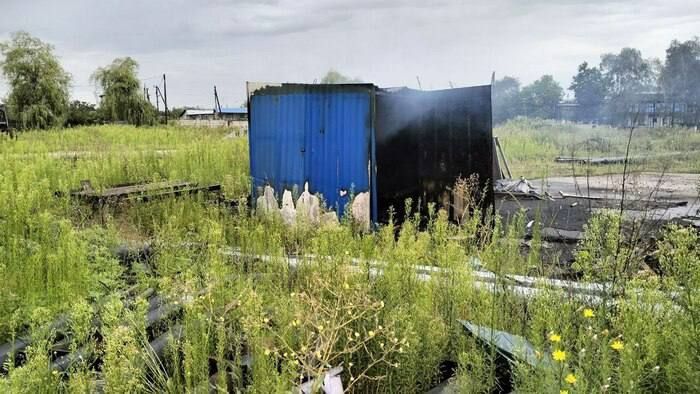 �������� �������� ���������� ���������, ���������� ���������� �������� "�����"