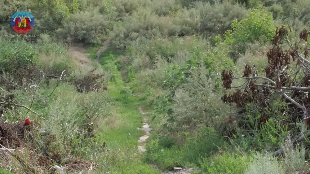 ������ ������ �� ������������ �������� ������ ���� ����������� � �������� ��������� ��