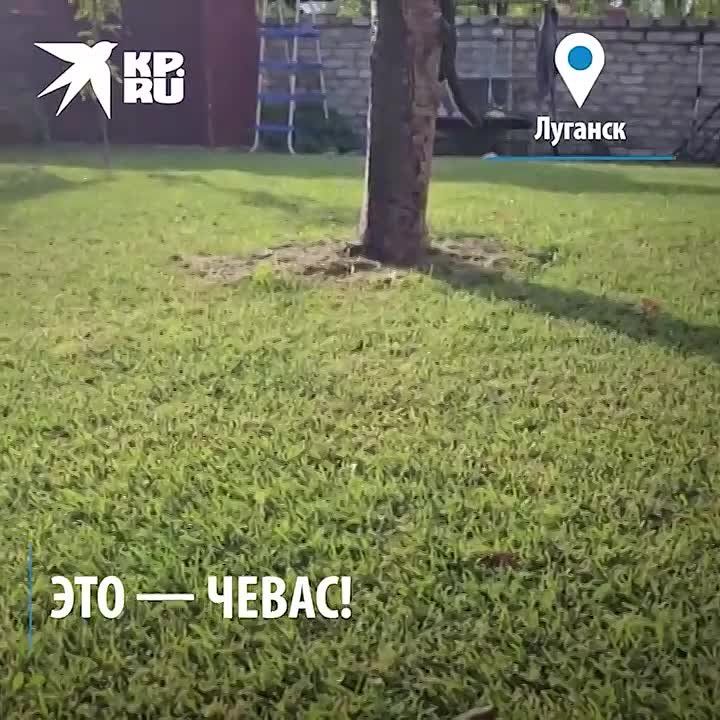 �������� ��� ������ ����� � ������ "�������" ����