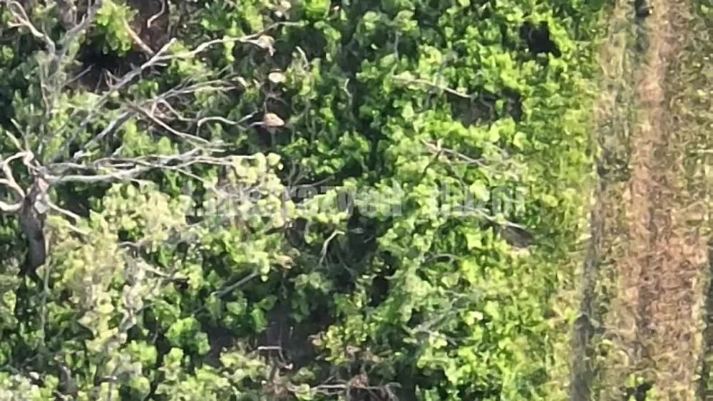 ���������� ����� ����� � ���� 6 ���������� �������