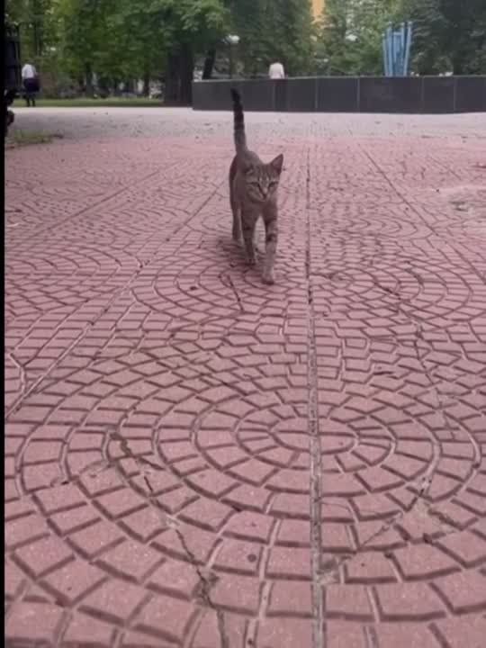 ����� �� ����� ��� �������� ���� ��� ����� ������, ������� �� ������ �������� �������� ����������