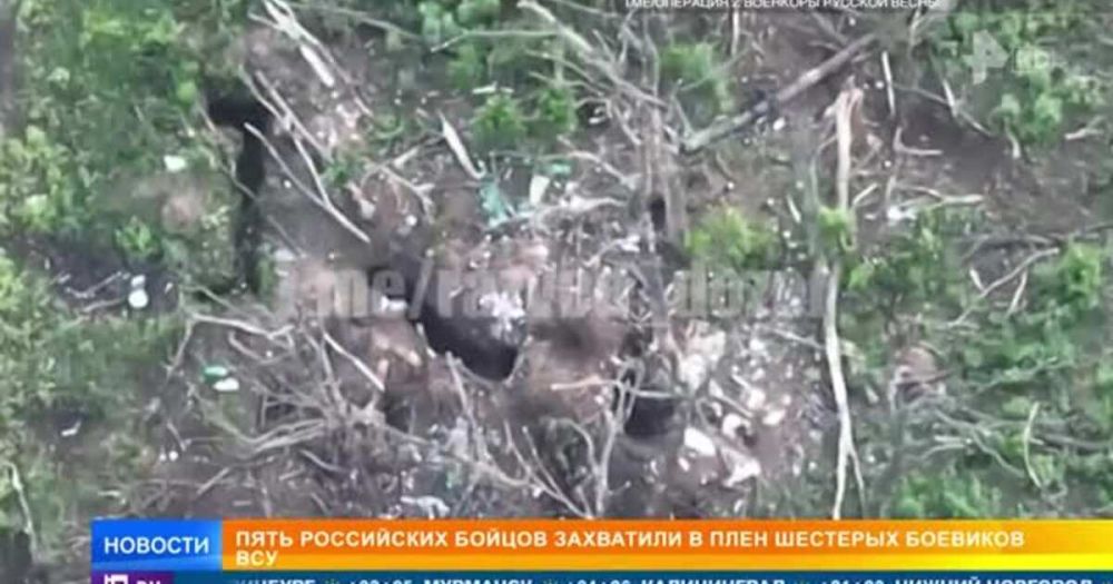 ���� ���������� ������� ��������� � ���� �������� �������� ���