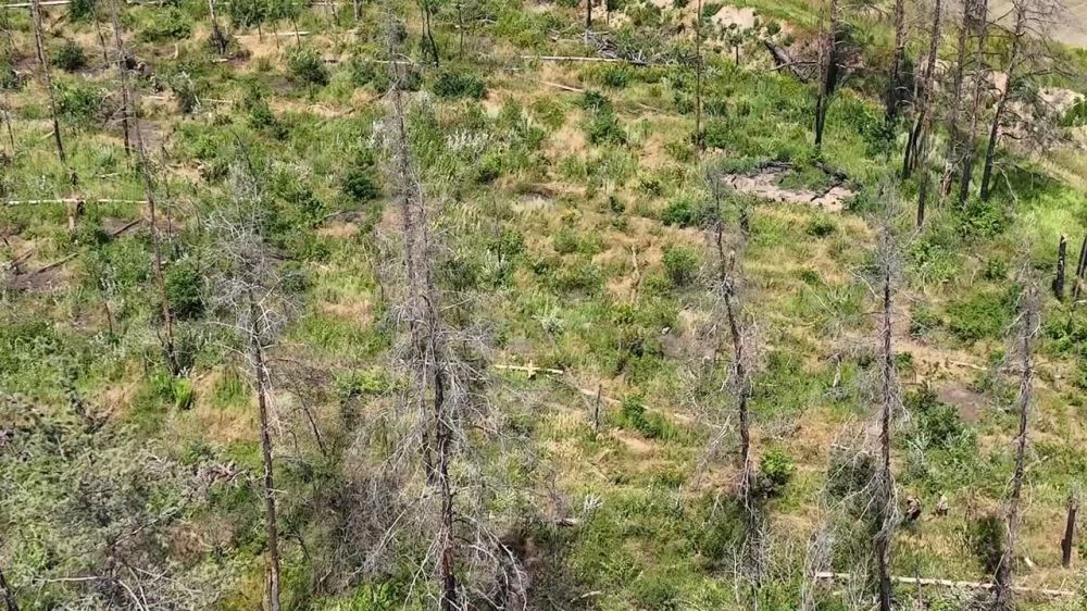 � ������� ������ ���� ���������� ��� ������� ���������� ��������� ������������� ���. ����������� �������� � ��������������� ������� �� �����������, �������, ����������� ���������� � ������ �������� ���������� �� ����� ���������������