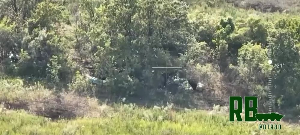 � ����� "������ ������" ����������� "�������� " ���������� ����� � ������