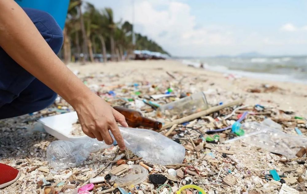 �� ���������� ��� �� ����� ���� ����������� ���������� ��������� ������ 85 ������ ��������