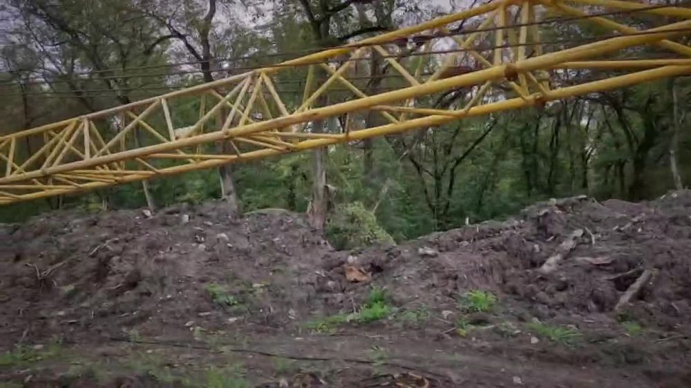 ������� ��������: ��������� �� ��������� �������� ����������