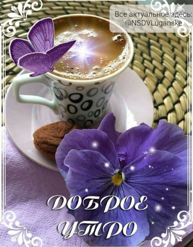 ������ ����, �������!. ������� � �������� � ��������� �������� ���������� ������� ����������� �� �����, ���� ��� ����� ����� �����. ��� �������