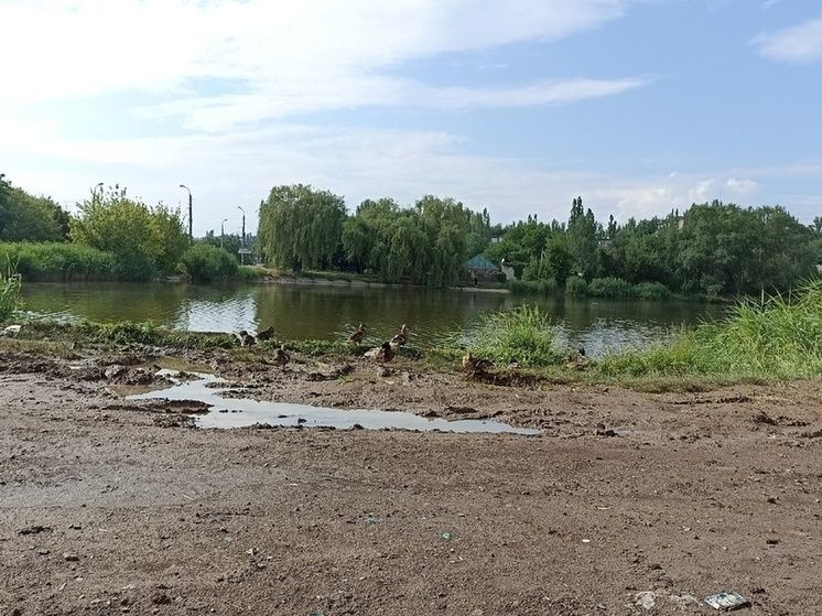 ������� ���������� � ��������� �������� ��������