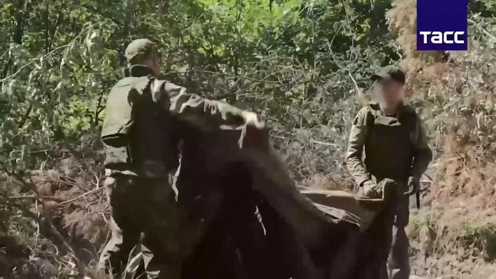 ��������� �����������. ������ �������� ����������� ����� ����������