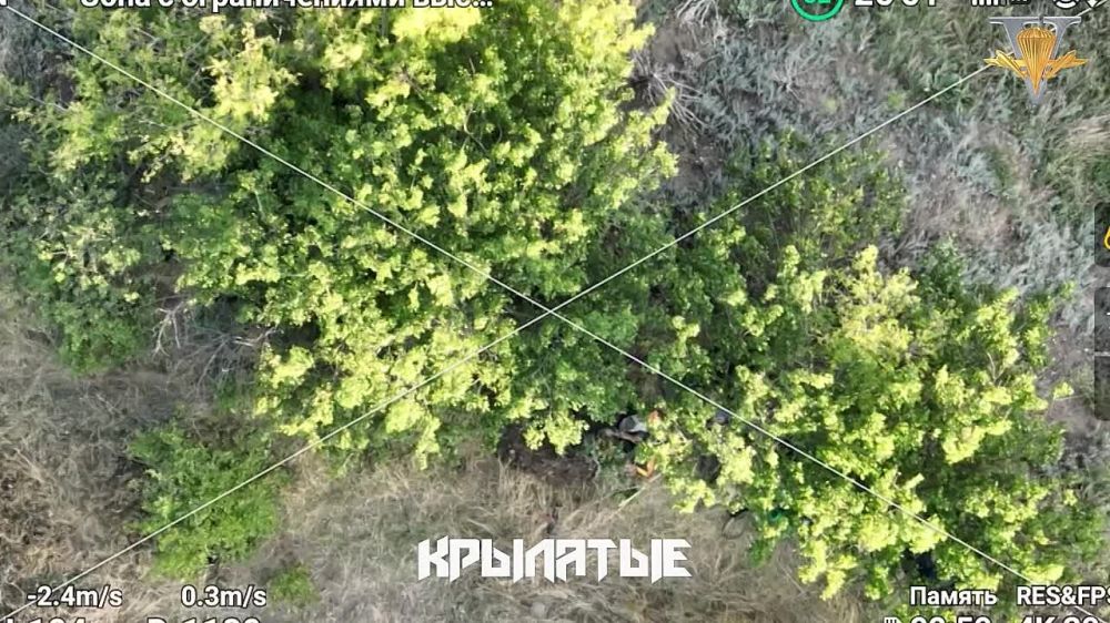 ����� ��������� ������ ��� �������� ���-5 ���������� � ������������� ����������� �� ��