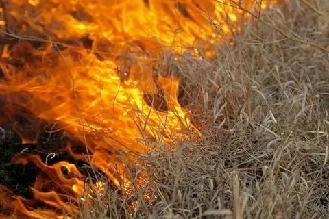 � ��� ��������� ������� � �������� ��-�� ���������� ����