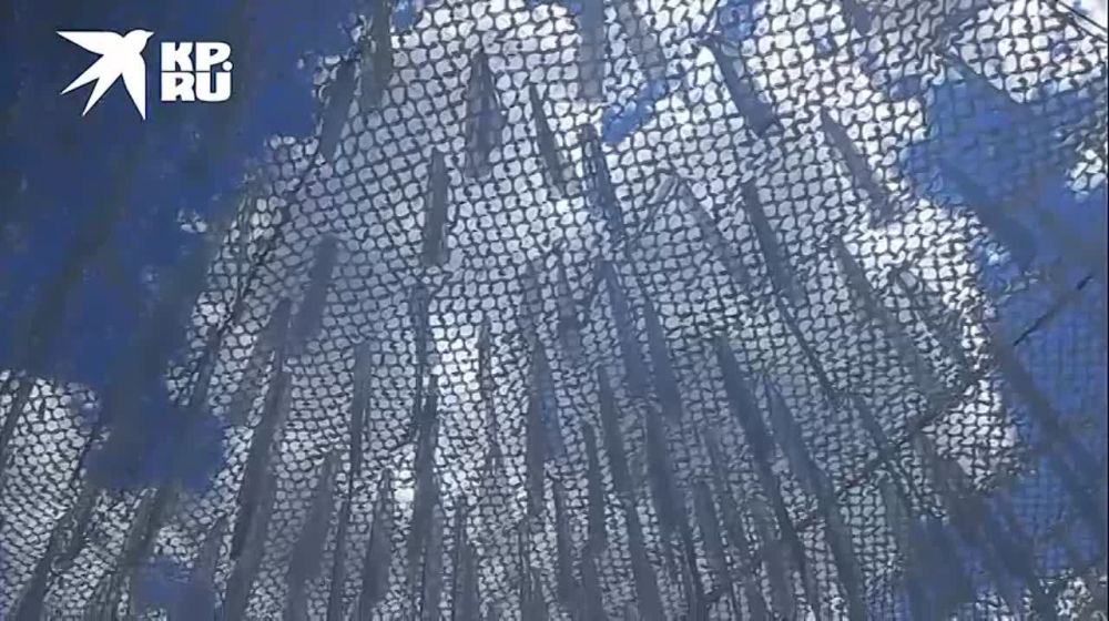 ��������� �������� ������� �������� ������ ���. �� ���������� �������� ��������� �������� ������� � ��������� ��������� ������ ����: ������, ������� � ���� ������� �� 10 �������