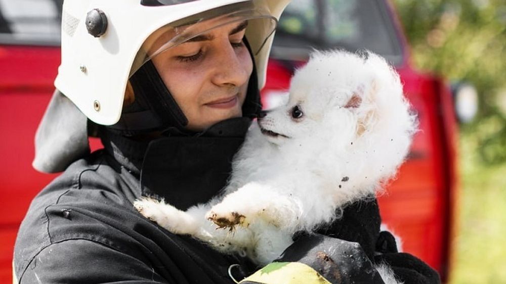 ��������� ����������� ������ � ������: � �������� ������ ����� �� �������