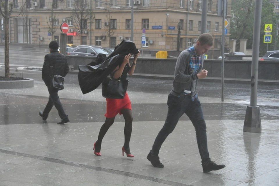 ���� � ����� � ������� ������������ ��������� � ��� 11 �������