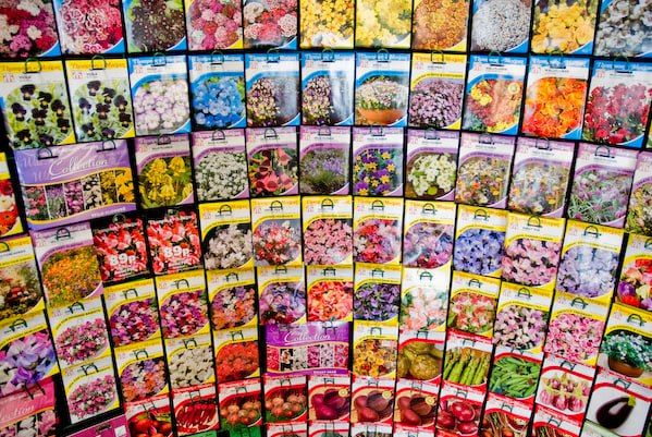 ���������� ����� �������������������� ��������