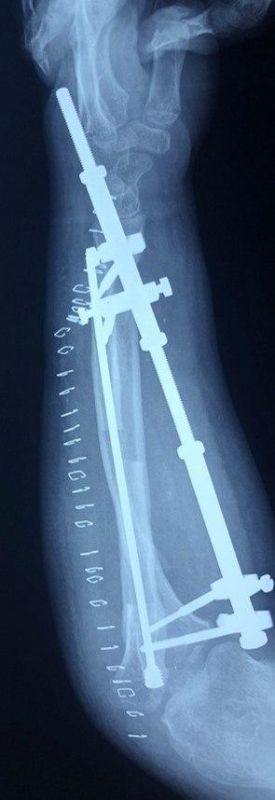 ���� �� ��� �������� ���������� ������� � ���� ������������� � ��������� ��. �.�