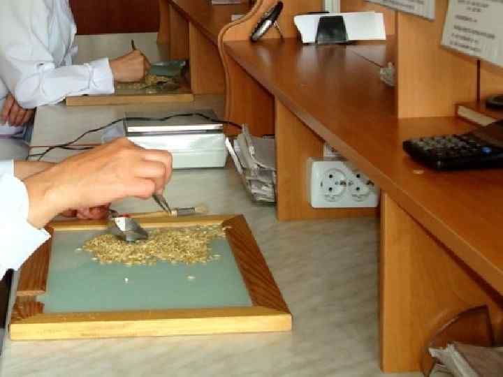 ������������ ������������ ����� ������-2023