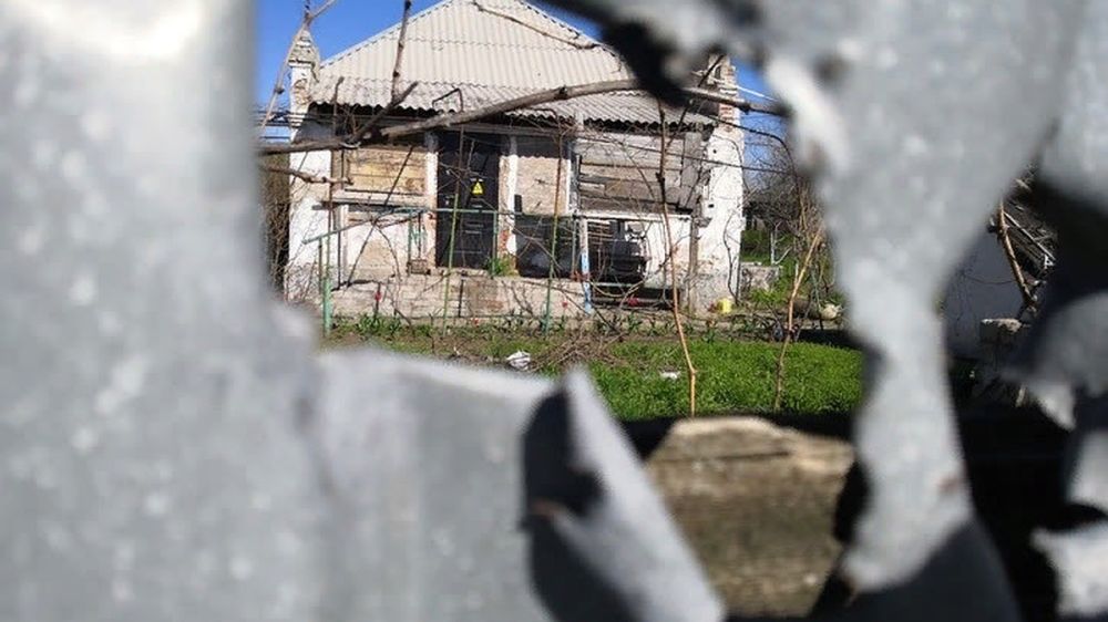 ����� 20 ����� ����� � ��� ����������� ������� ���������� � ��� ���������� ��� 10 �������