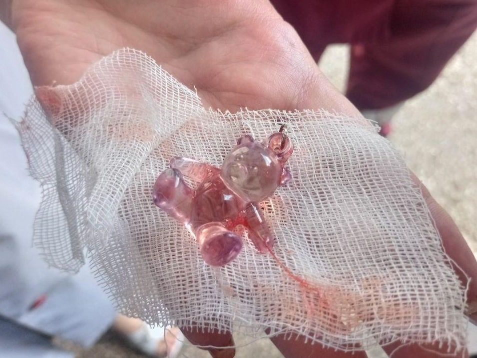 ����� ������������ ����������� ��������� ��������������� �������� �������� ������� � ������ ������������� ��������, ������� ���� �� ���������� ��������, �������� � ��������� ���