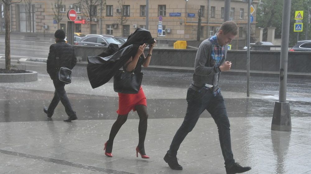 +36 �������� � ����� � ������� ������������ ��������� � ��� 11 �������