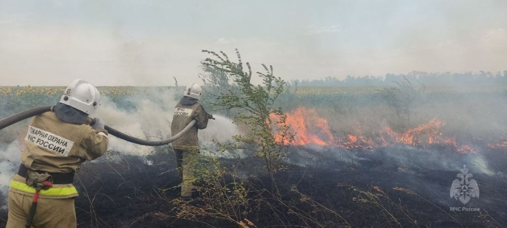 � ������������� ������������� ������ ��������� ������������� ������� ����������� �����