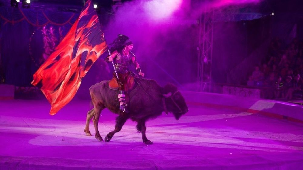 ����������������� ������������� ����������� �������� ����� 16,5 ������ �������� �� ��������