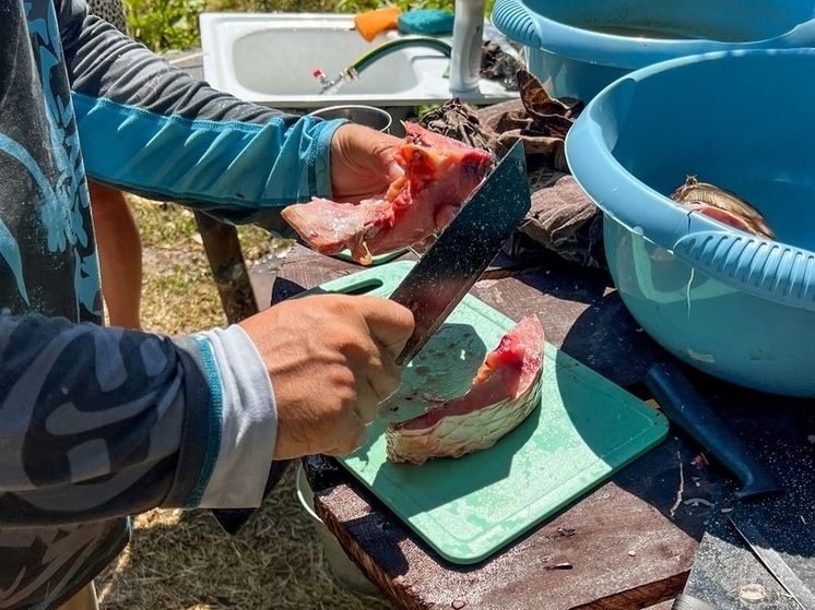 � ��������� ��� ���������� ��������������� ���������� ����������� ������������ ���