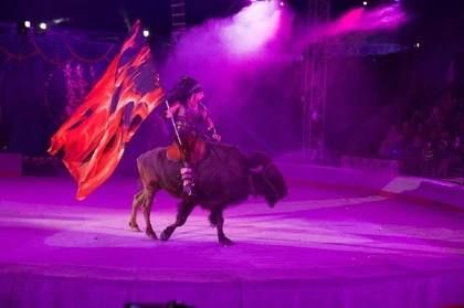 ����������������� ������������� ����������� �������� ����� 16,5 ������ �������� �� ��������