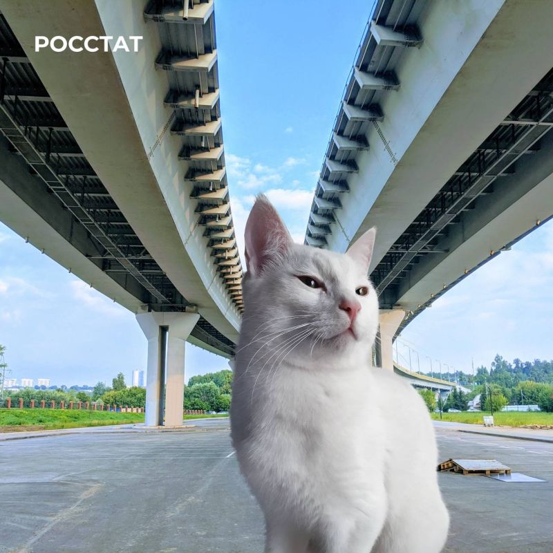 ������� � ������� ���� ������: ��� ��� ����� ��������� ��������� ������� ������� ��������� �������������