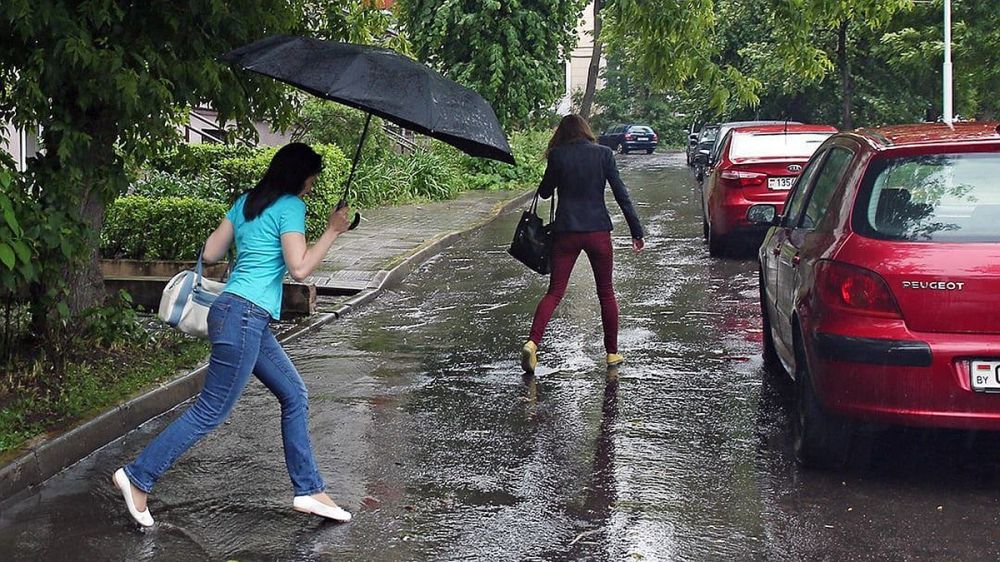 �������������: ������� ����� ������� � 14 �������� ������