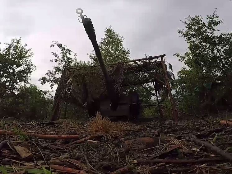 ���: ������ ��������� ������ ����������� � ��������� � ����������� ��������