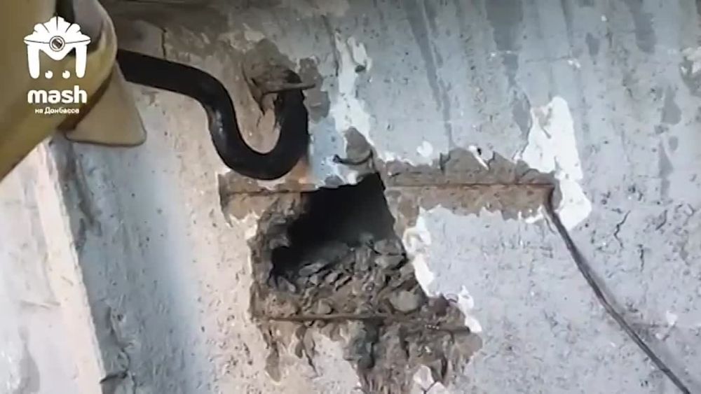 � �������� ������ ������� �� �������� �������