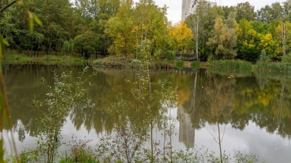 ��� �������� ������� � �������� ��� �� �����