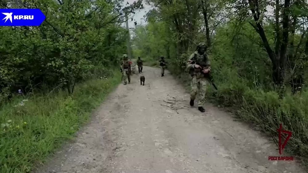 � ��� ������������ ������ �� ������ � ����������� ������ � �����������