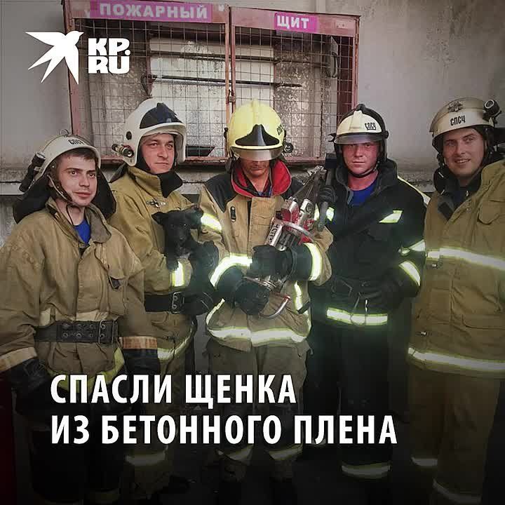 ��������� ��������� �������� ����� �� �������� �����