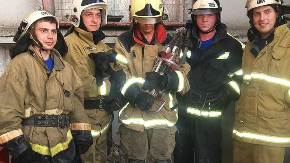 ������� ������: ���������� ��� ������ ����� �� ��������� ����� � ��������