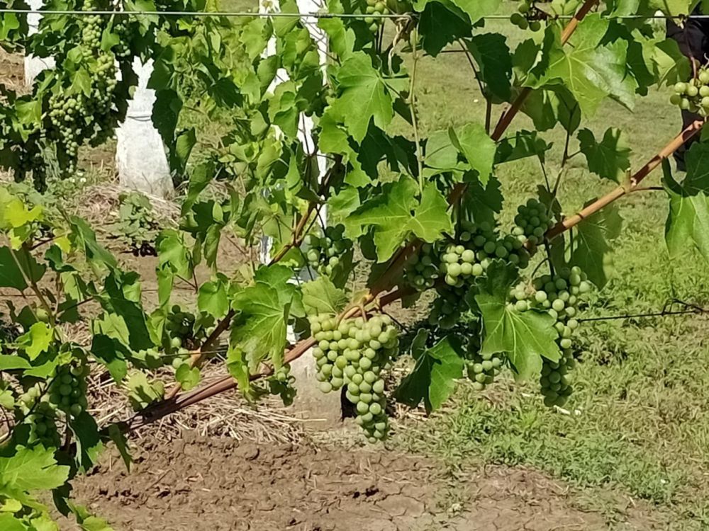 ������� ��������� ��������� � �������������� ��� ������� ������� ������� �� ������������� �� ������� ������������� ������, �������� � �����-������ ������������