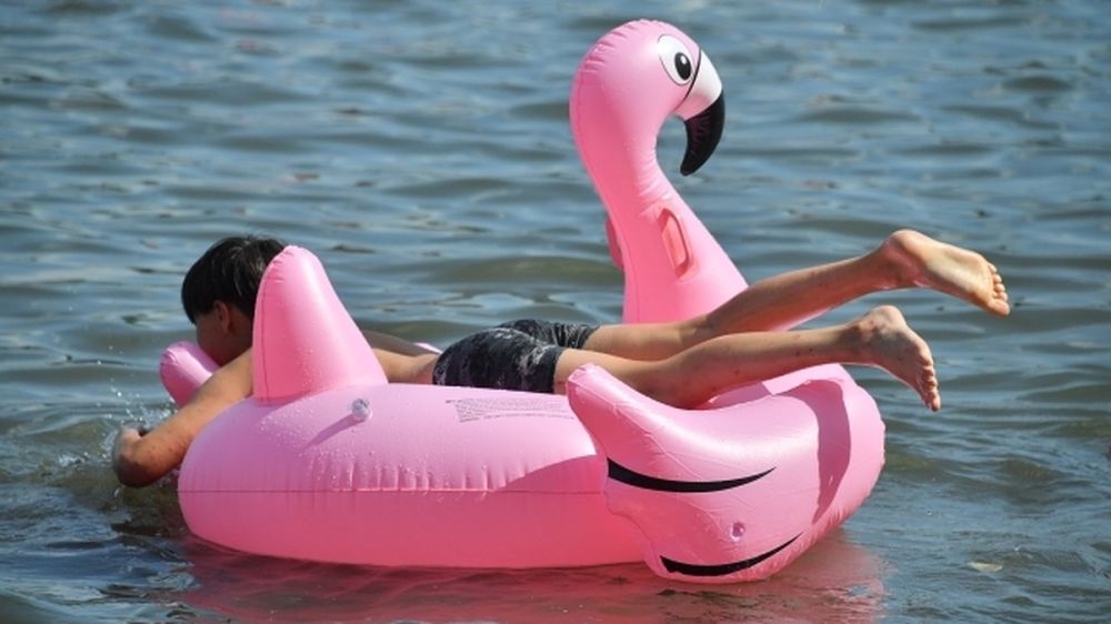 �������� � �����: � �������� ��������� �� 32 �������� �����