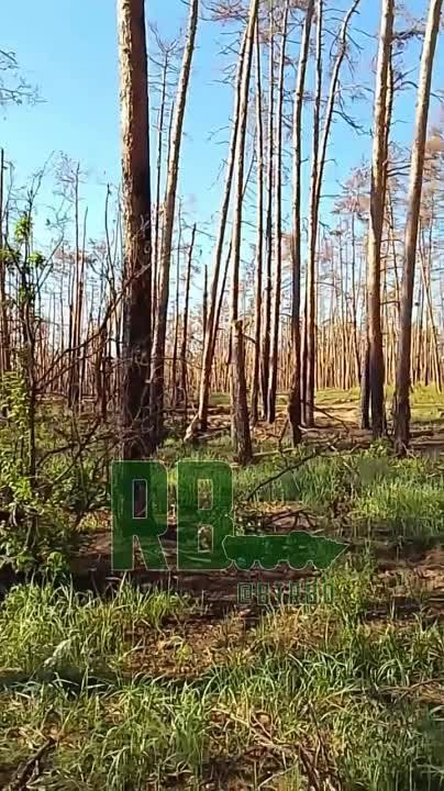 ����� ����������� " �������� "�� ���� ��� �������� ����� ����� �������� ���� � ����